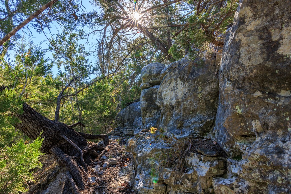 Lot 20 Mayers Ridge Dr # 20