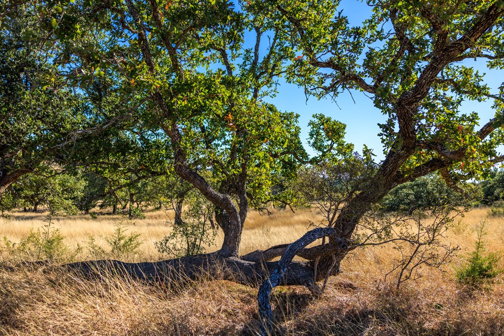 Lot 20 Mayers Ridge Dr # 20