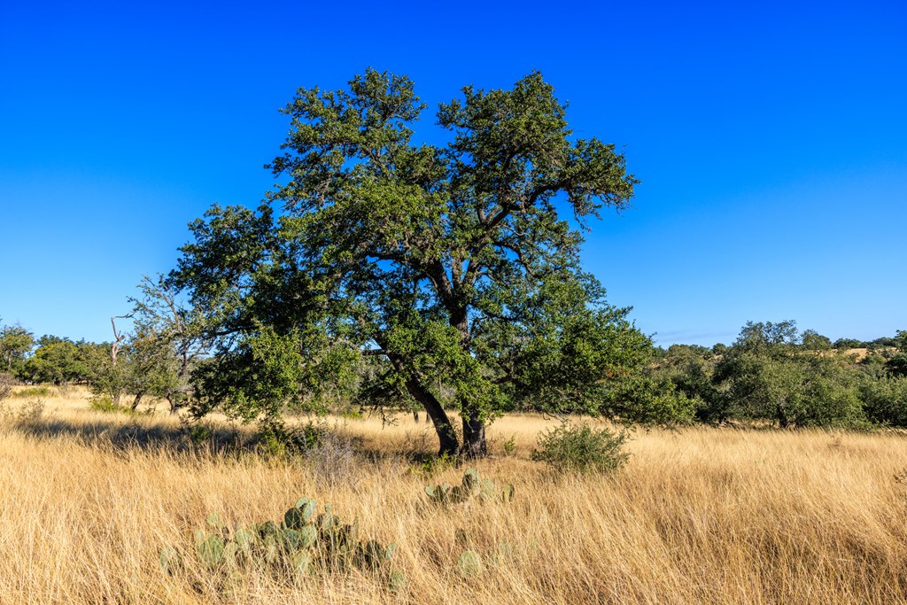 Lot 20 Mayers Ridge Dr # 20