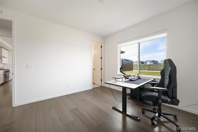 14391 Shasta Daisy Point
