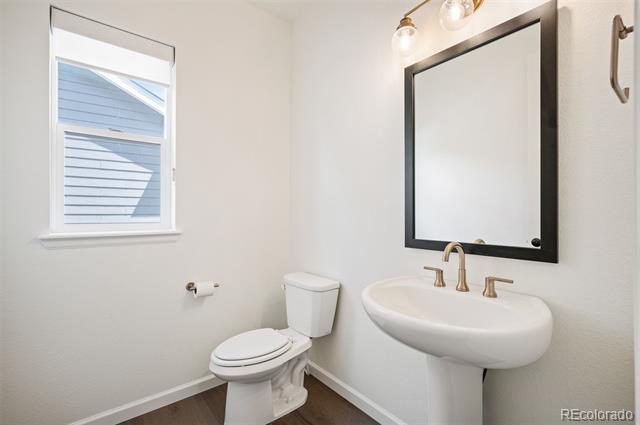 14391 Shasta Daisy Point