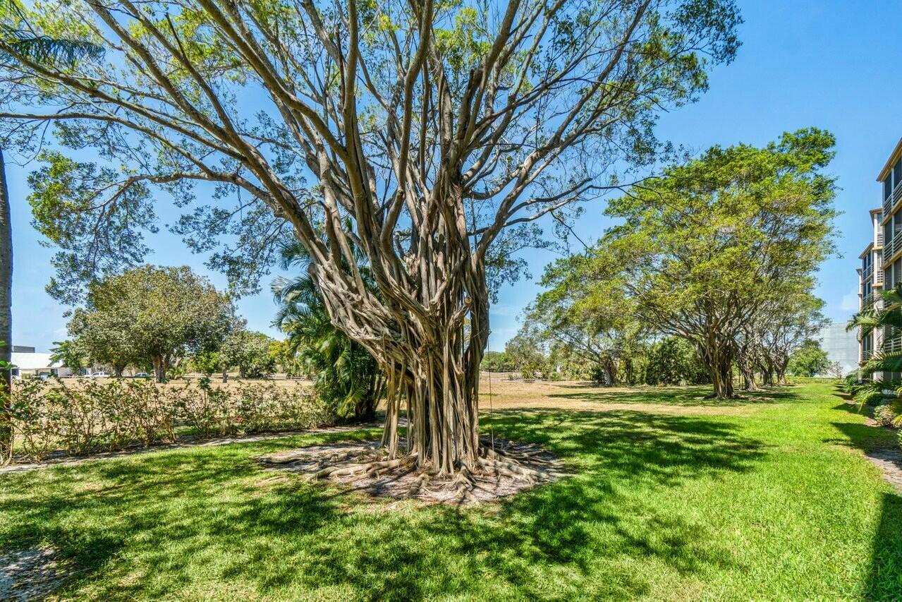 6461 NW 2nd Ave Avenue 411