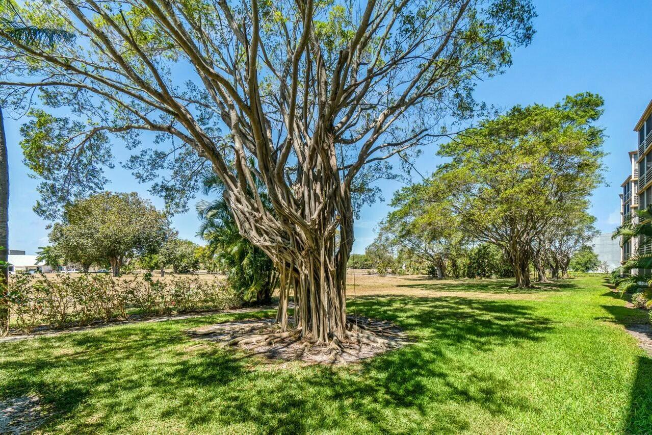 6461 NW 2nd Ave Avenue 411