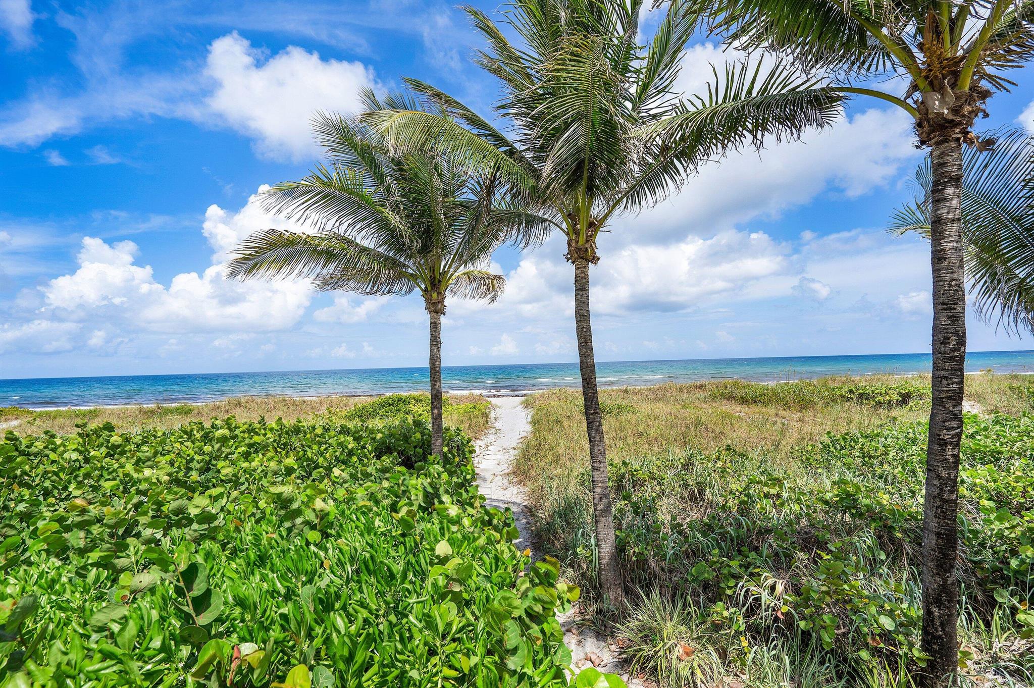 2150 S Ocean Boulevard 6b