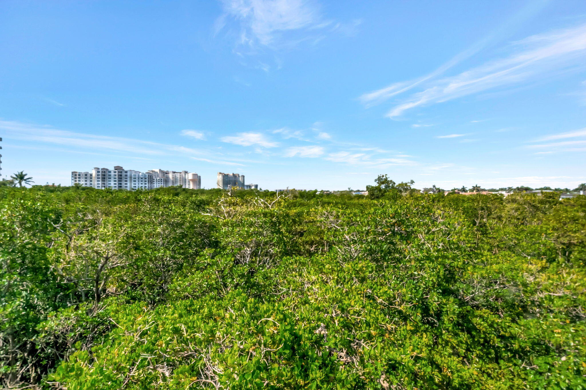 3420 S Ocean Boulevard 4n