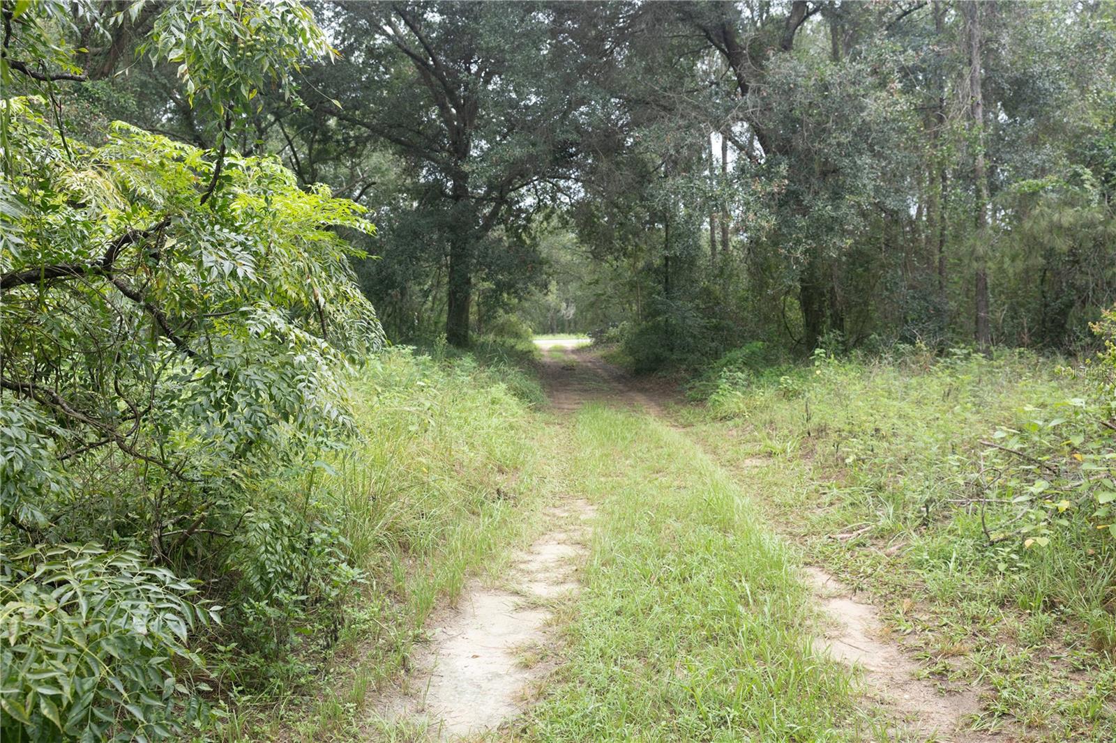 3602 W STATE ROAD 44
