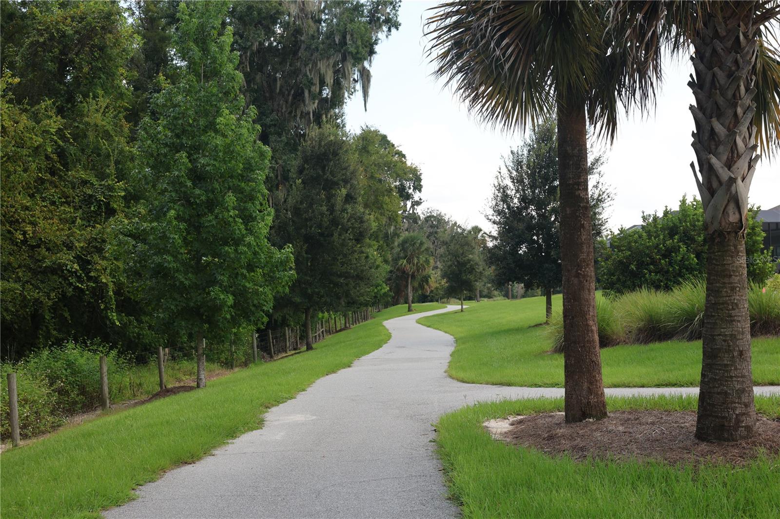 904 MAYNARD PATH PATH