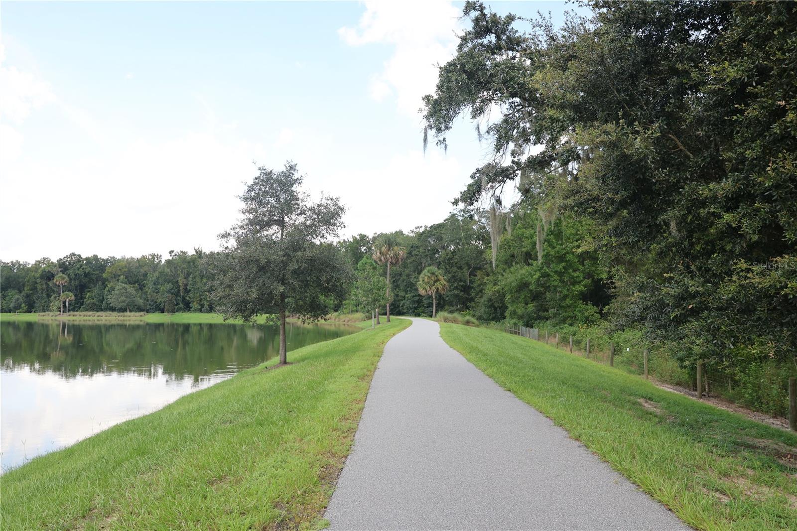 904 MAYNARD PATH PATH