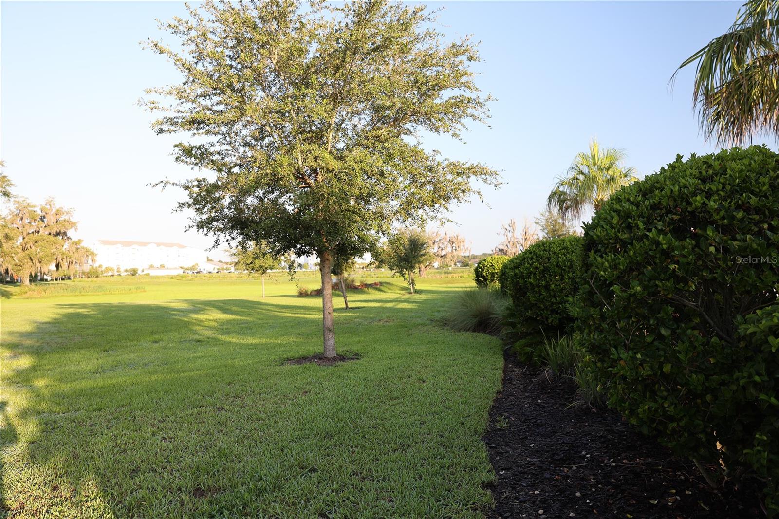 5323 LOBLOLLY LN