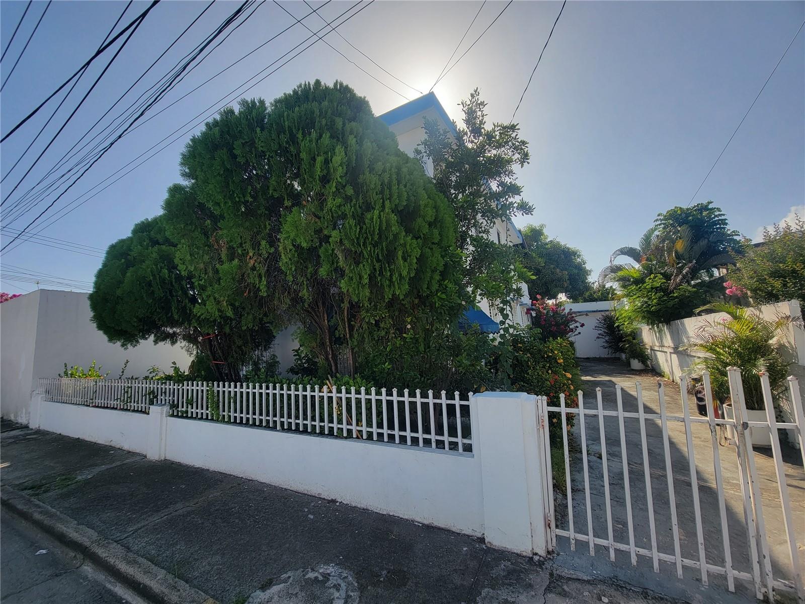 53 GERTRUDIS ST