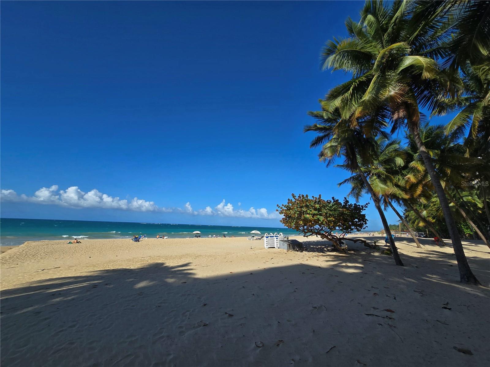 59 KING´S COURT ST #1002