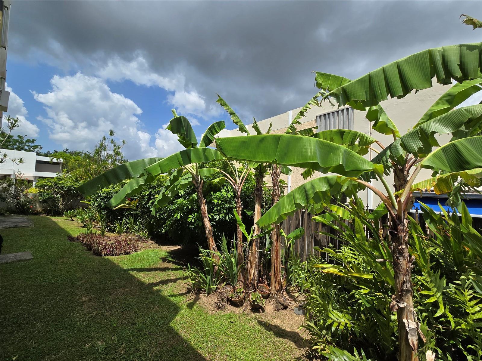 C-10 ISABEL LA CATOLICA ST