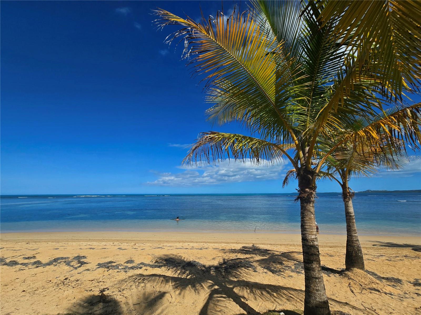 50 OCEAN DR. ST #101