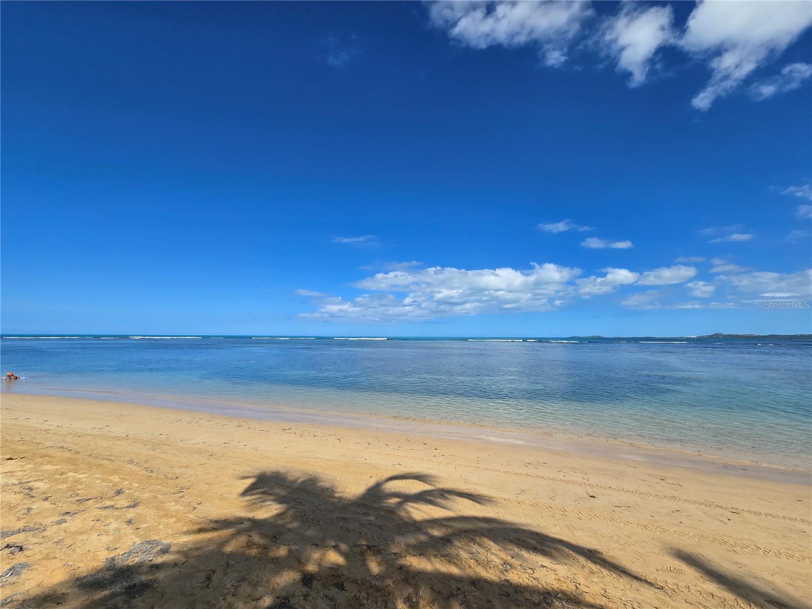 50 OCEAN DR. ST #101