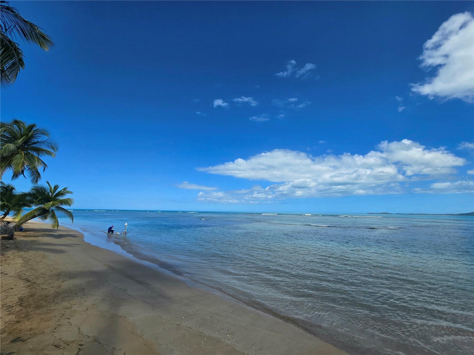 50 OCEAN DR. ST #101