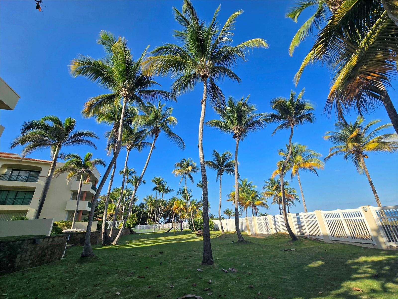 50 OCEAN DR. ST #101