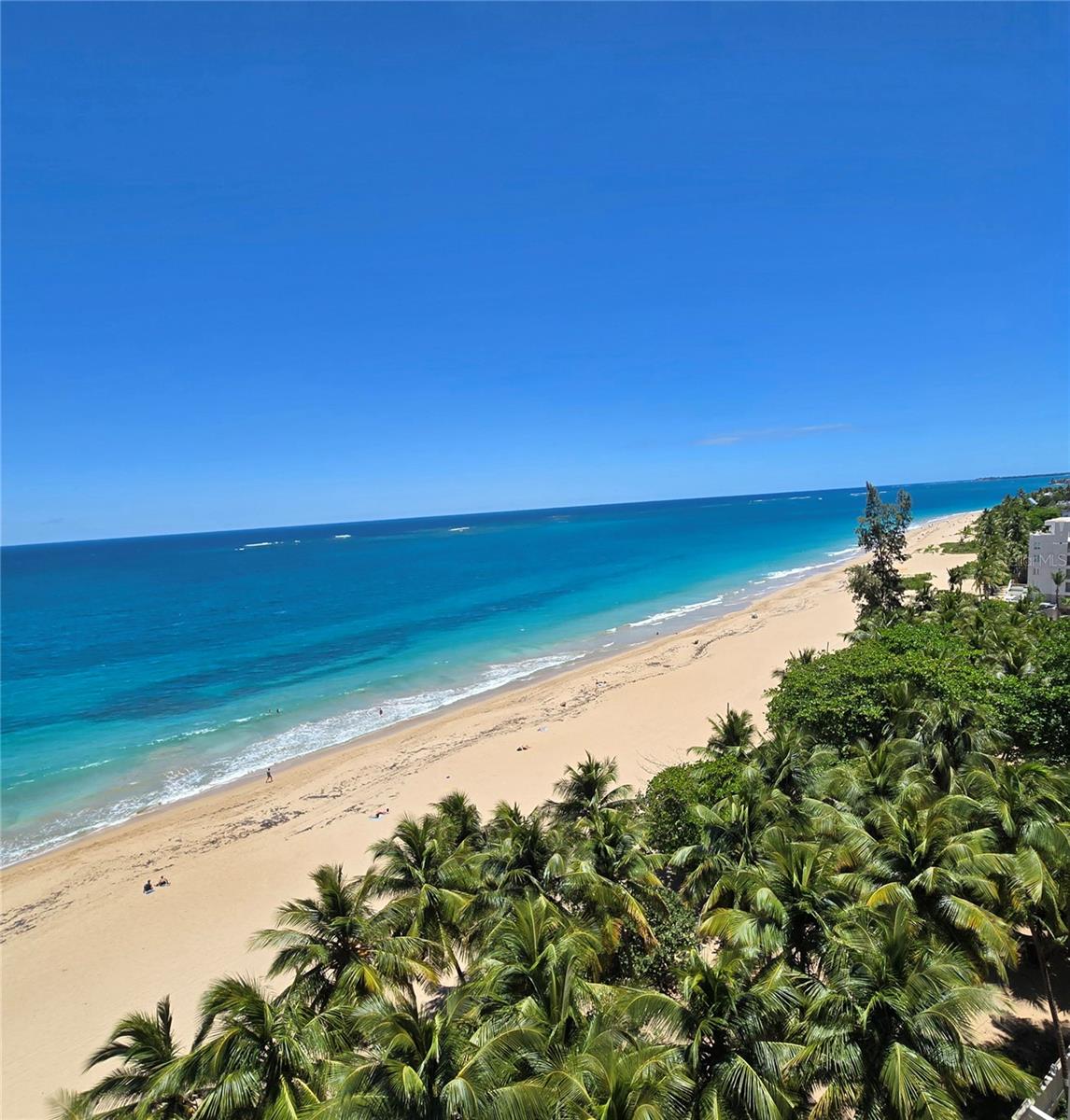 1420 WILSON AVE #402