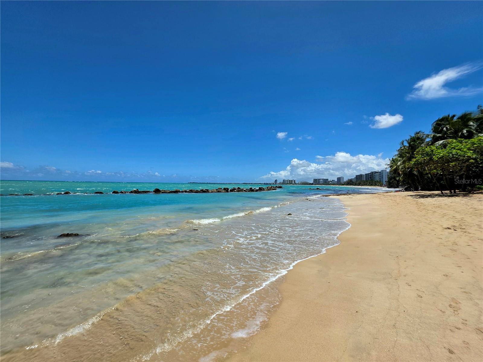 3205 ISLA VERDE AVE #1405