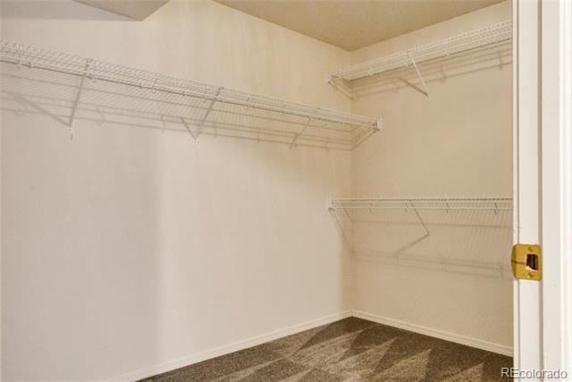 9518 Orchard Park Trail