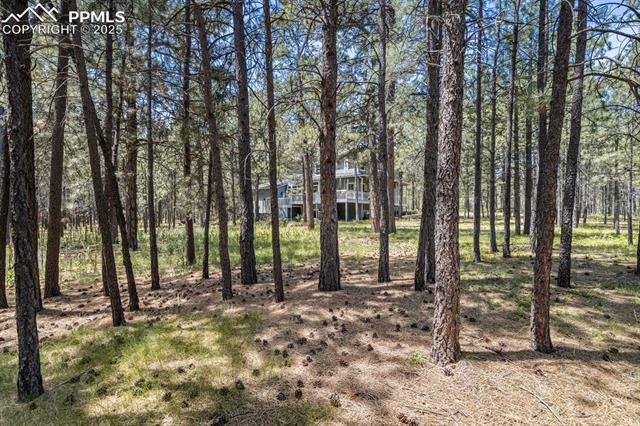 17695 Roller Coaster Road