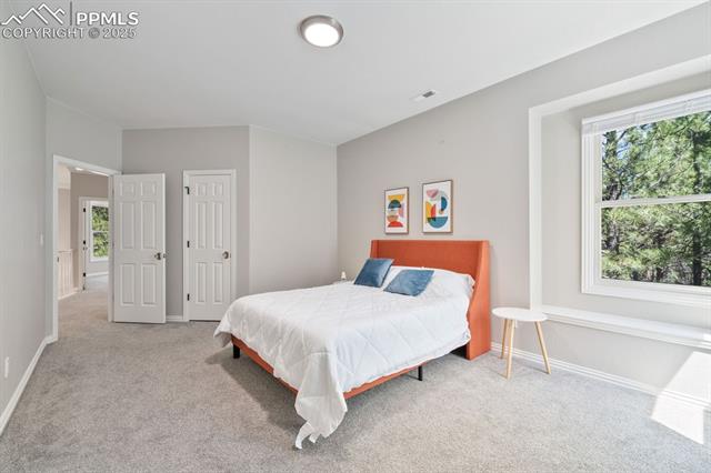 17695 Roller Coaster Road