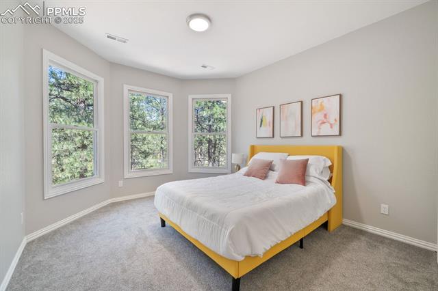 17695 Roller Coaster Road
