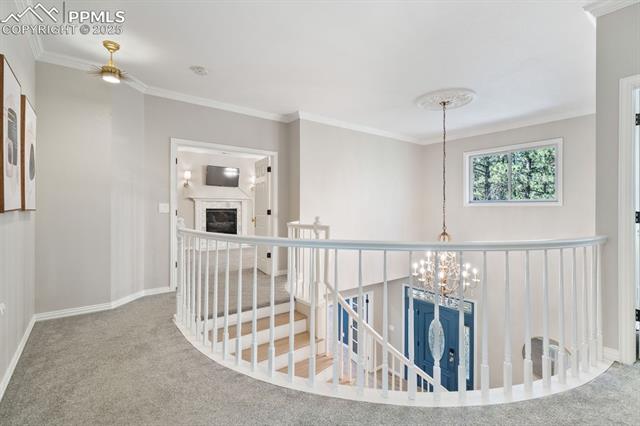 17695 Roller Coaster Road