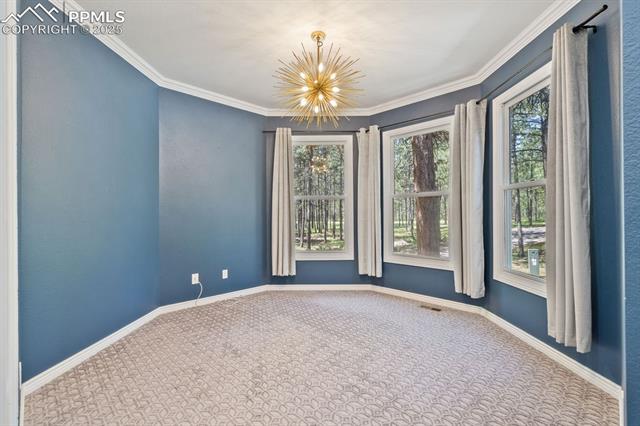 17695 Roller Coaster Road