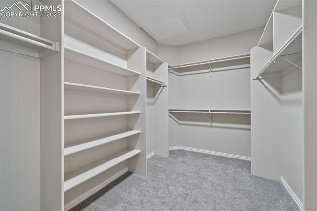 17695 Roller Coaster Road