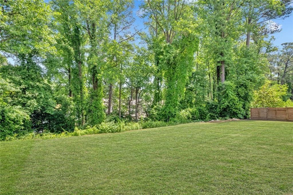 1229 Hampton Park Road