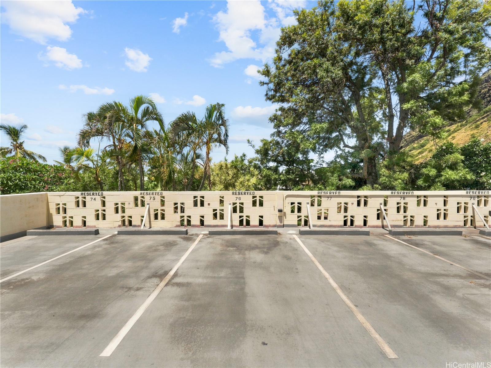 Reserved parking spaces numbered 74 through 79, bordered by a low wall and tropical trees.