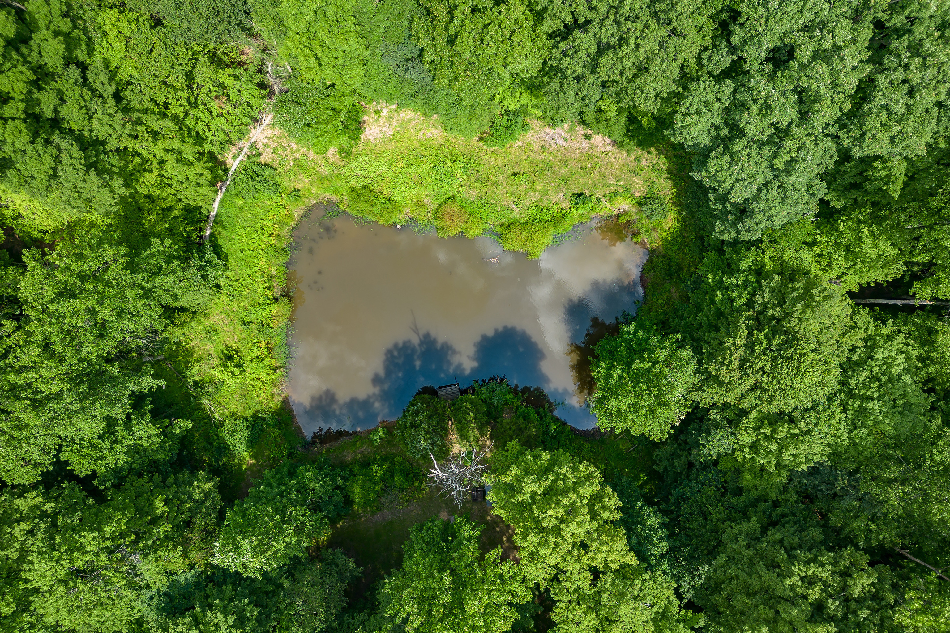 4000 Clay Lick Road
