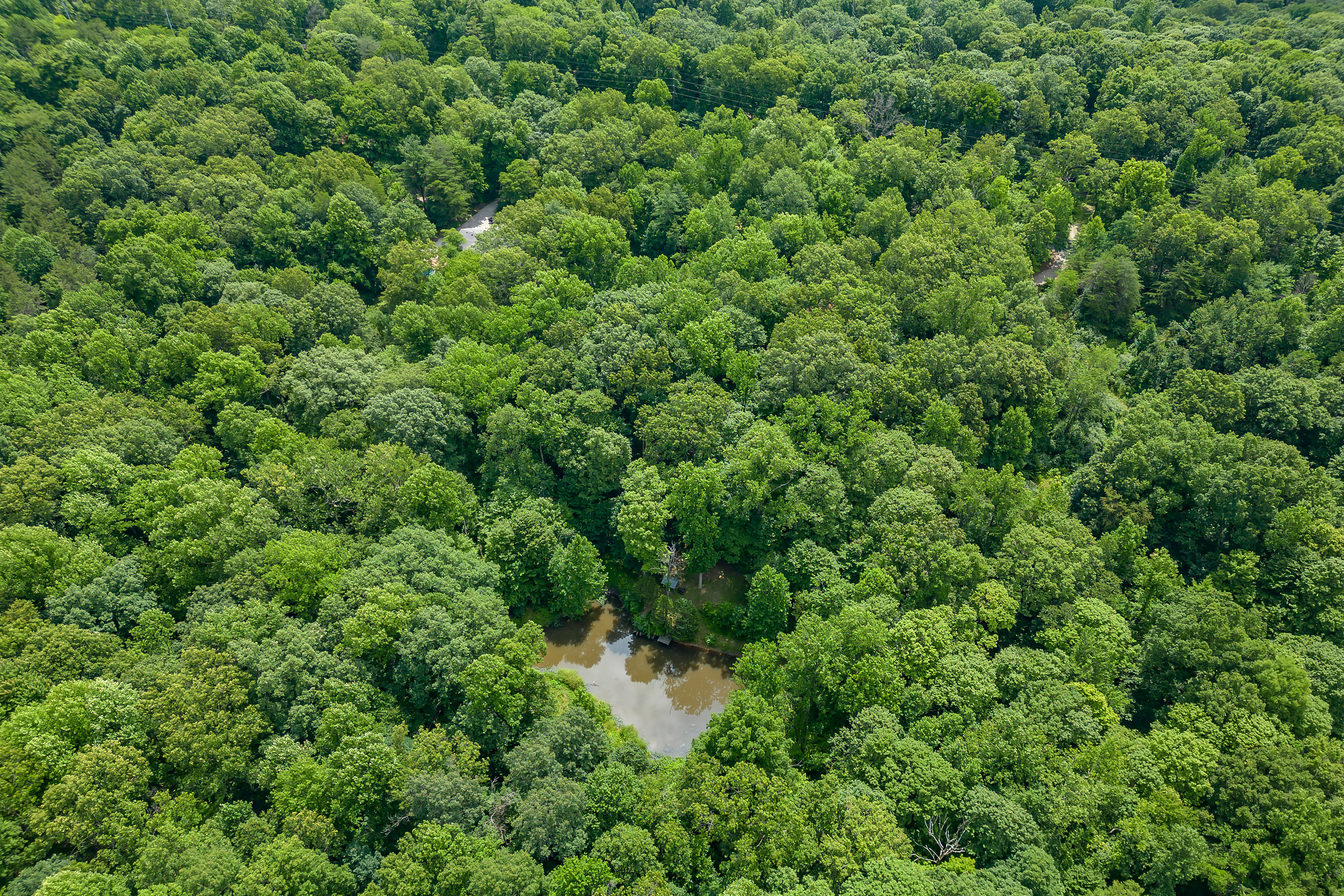 4000 Clay Lick Road