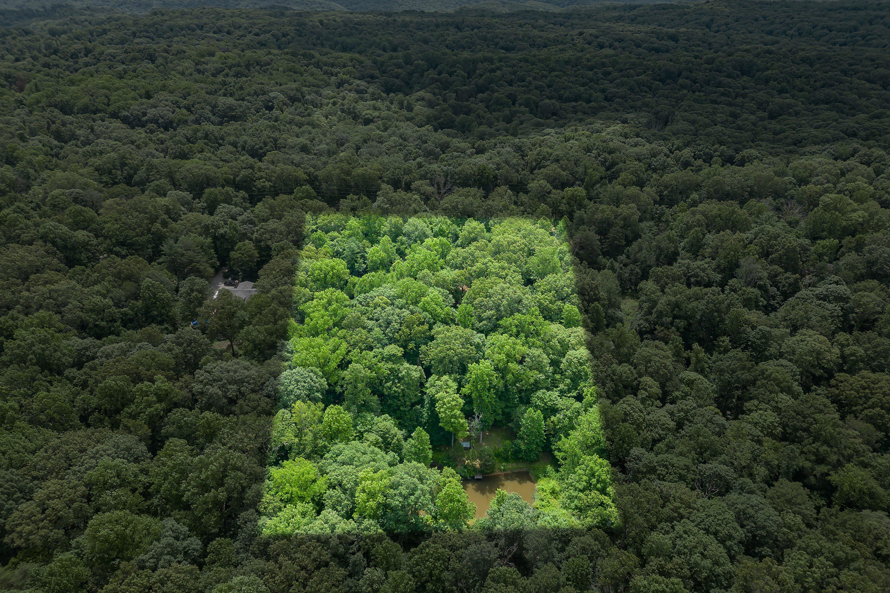 4000 Clay Lick Road
