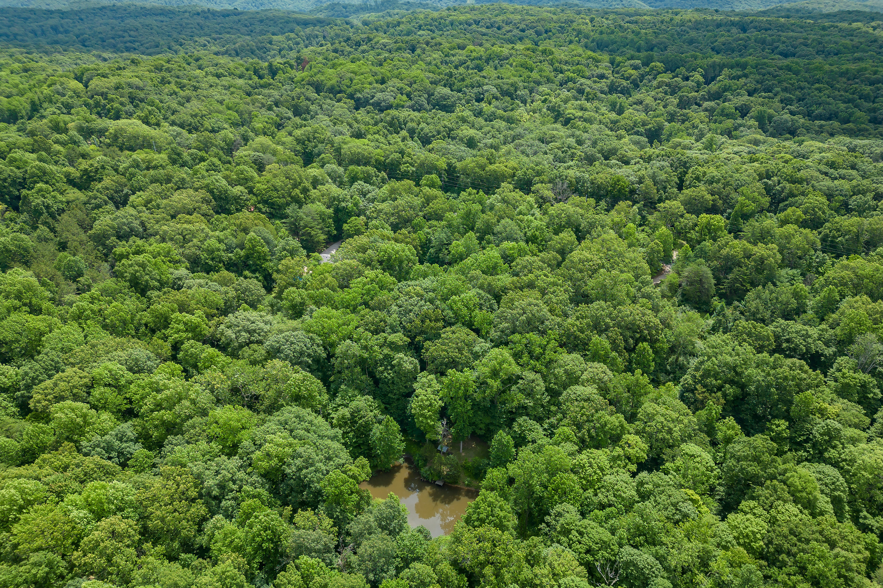 4000 Clay Lick Road