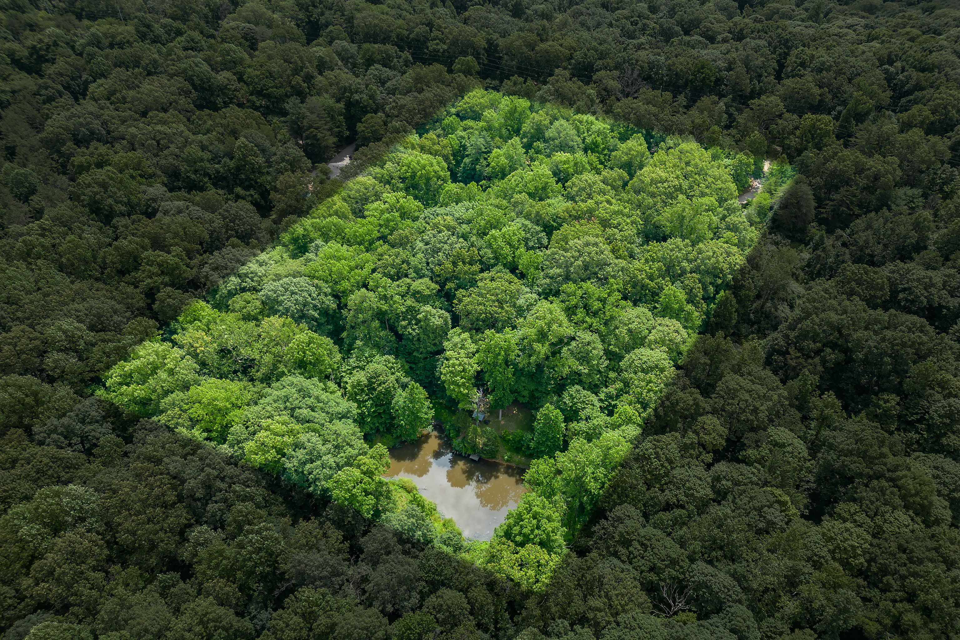 4000 Clay Lick Road