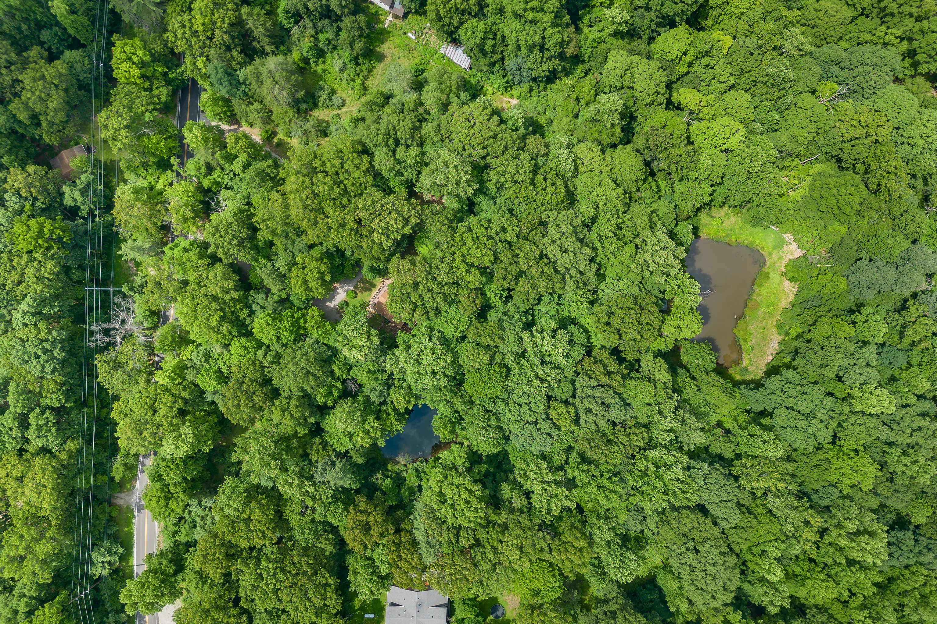 4000 Clay Lick Road