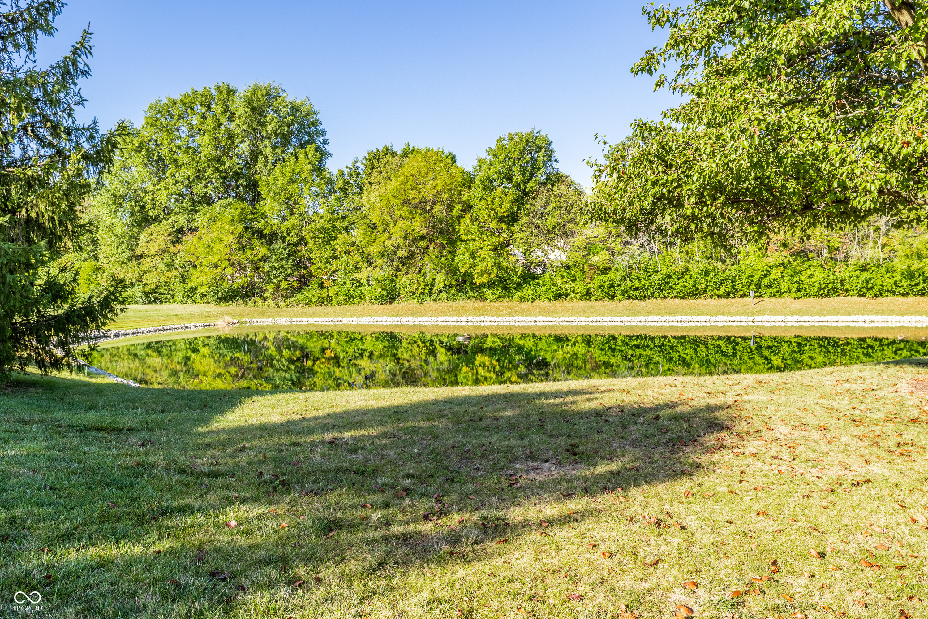 13854 Meadow Grass Way