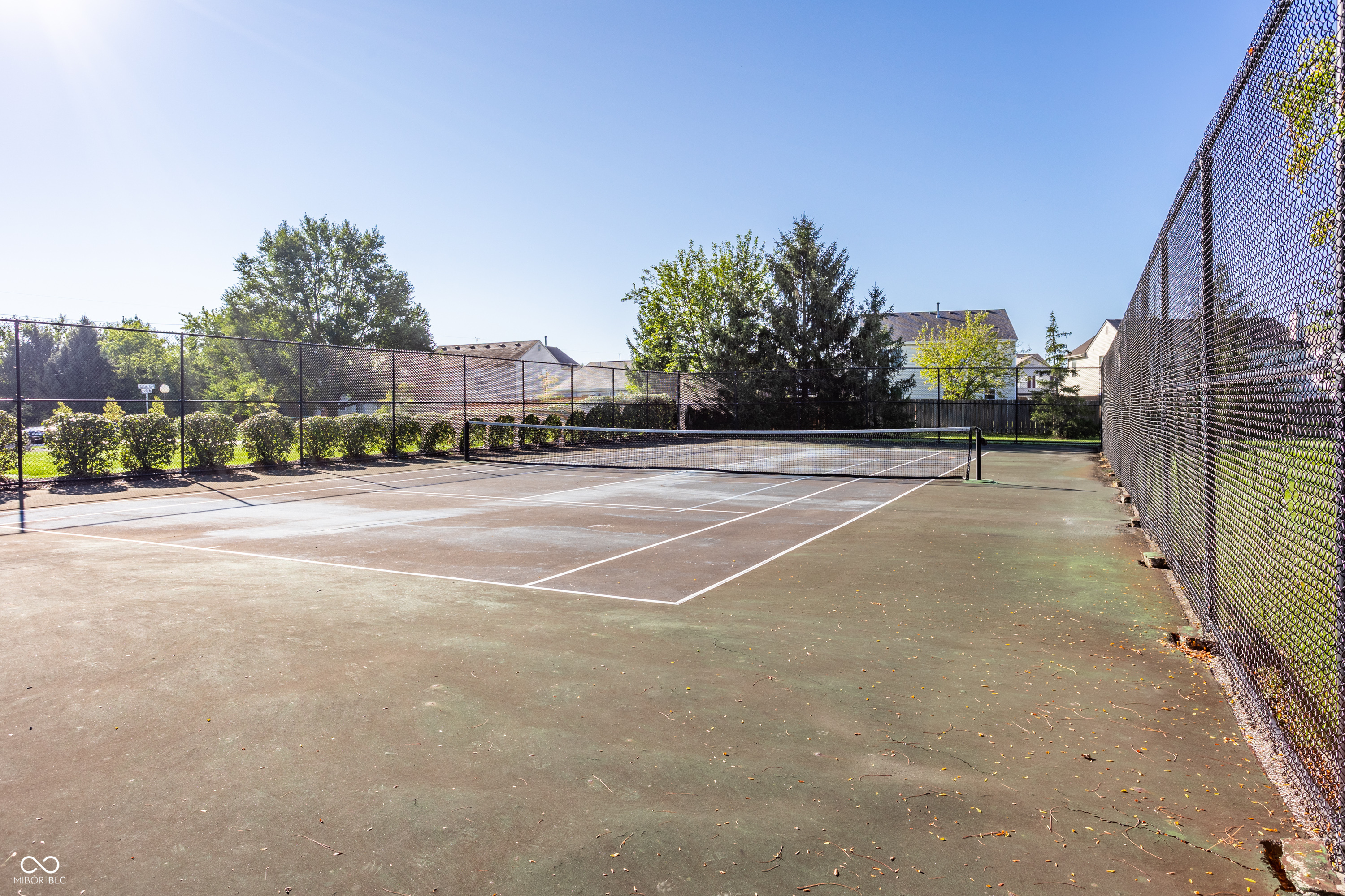 13854 Meadow Grass Way