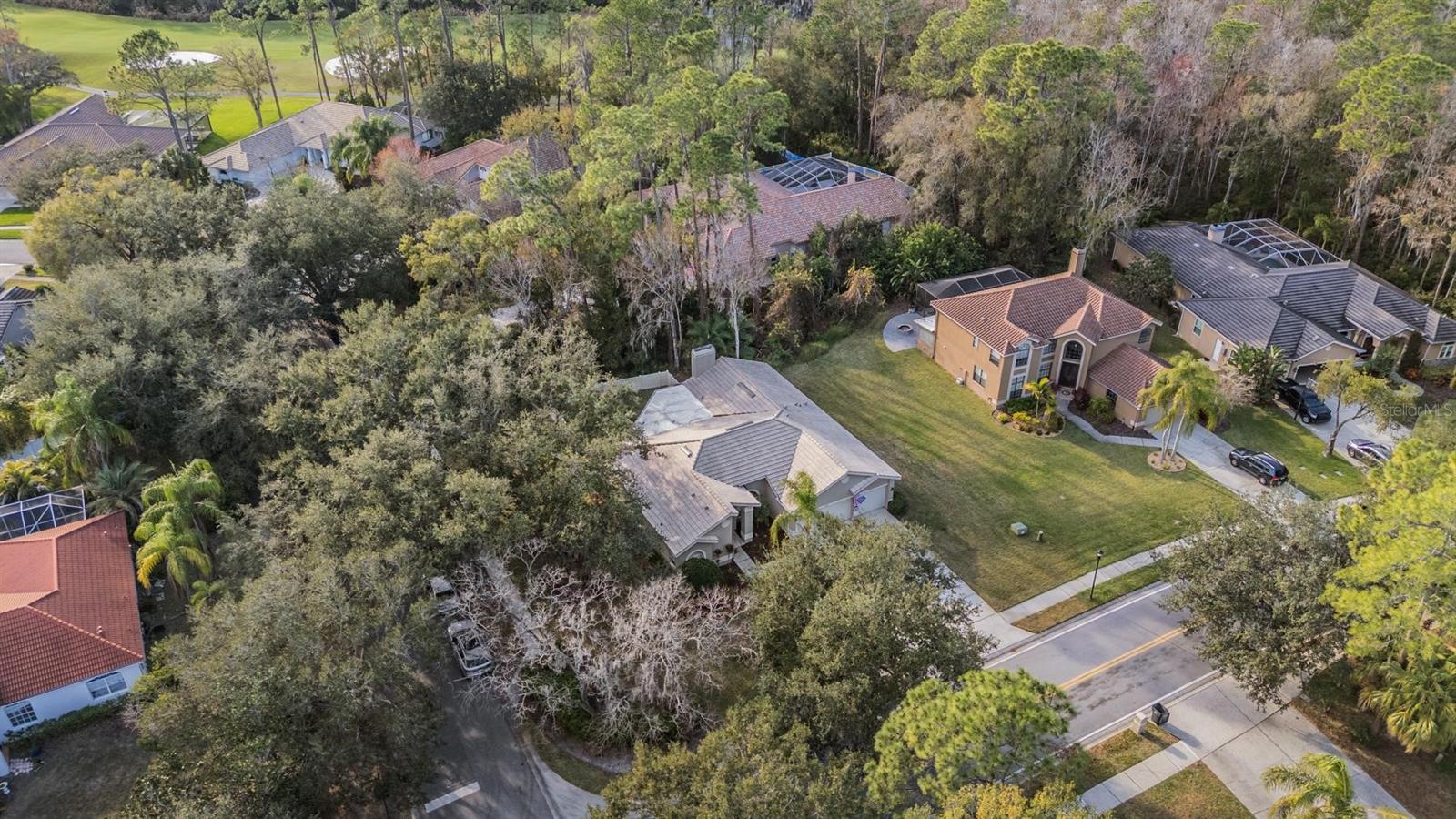 1558 E LAKE WOODLANDS PKWY