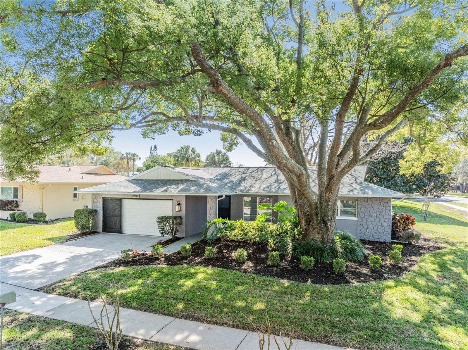 2802 CAMERON CT