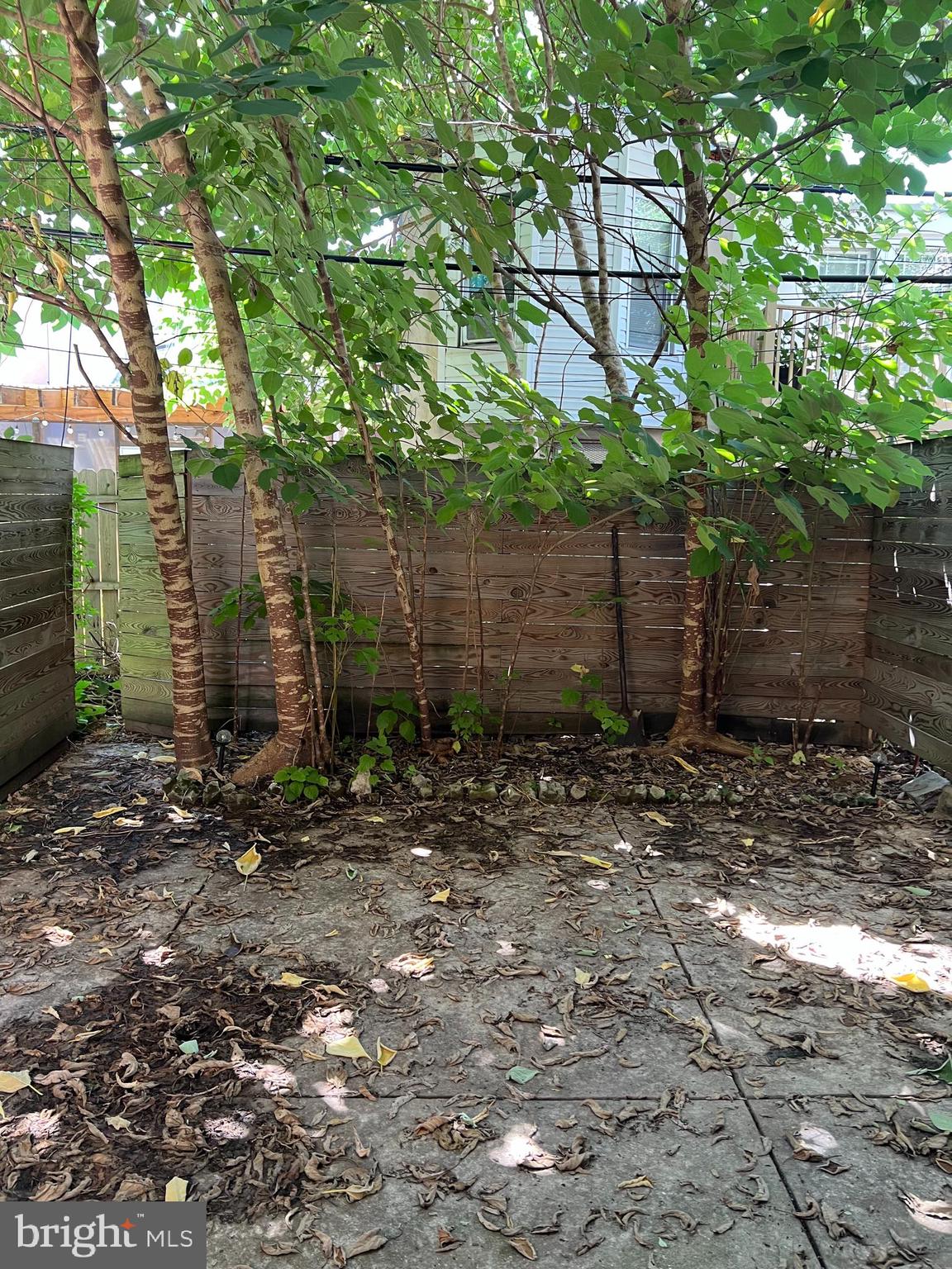 1530 CHRISTIAN STREET UNIT 1