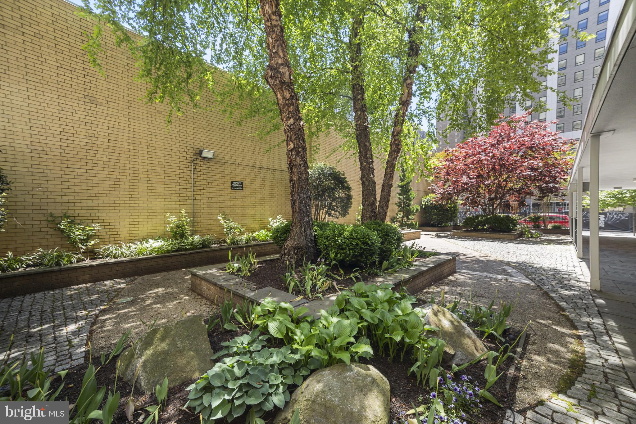 1919 CHESTNUT STREET 2901/02/24