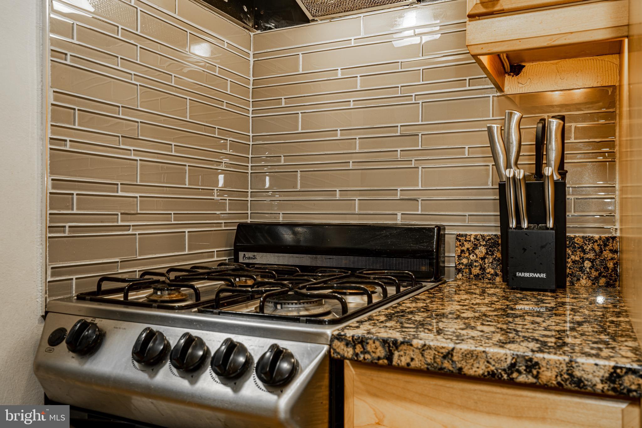 250 S 13TH STREET 1F