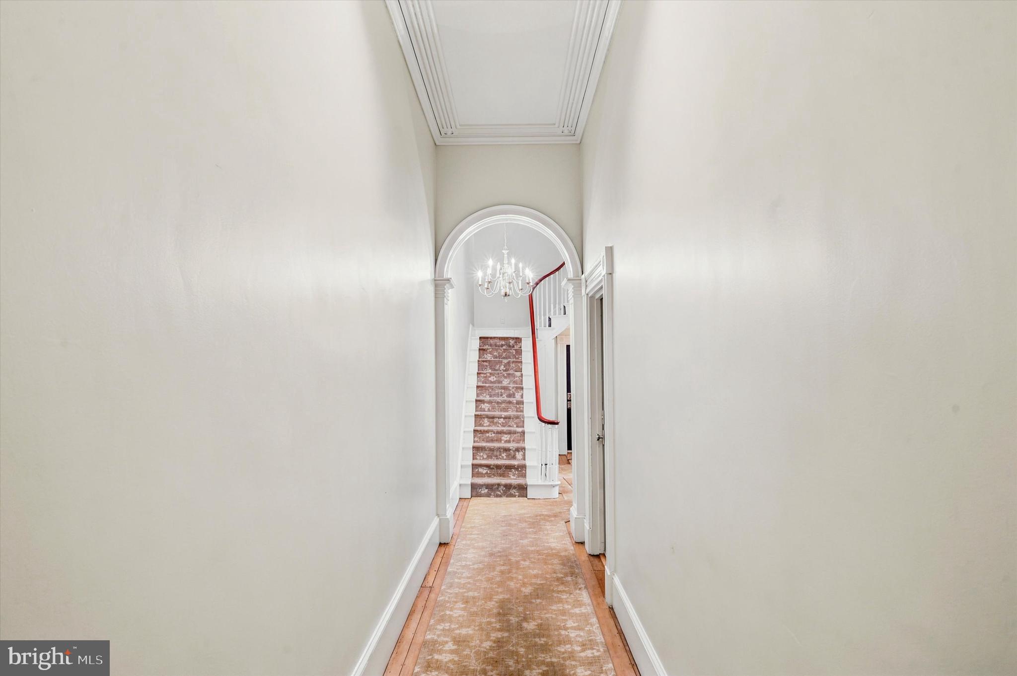 328 SPRUCE STREET 5