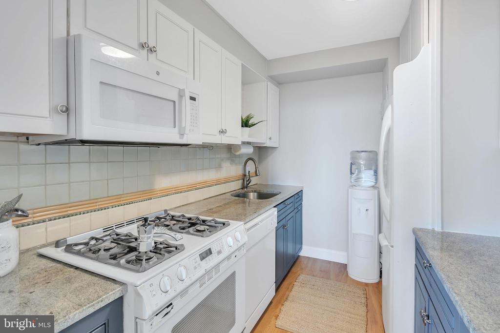 604 S WASHINGTON SQUARE Unit: 1209