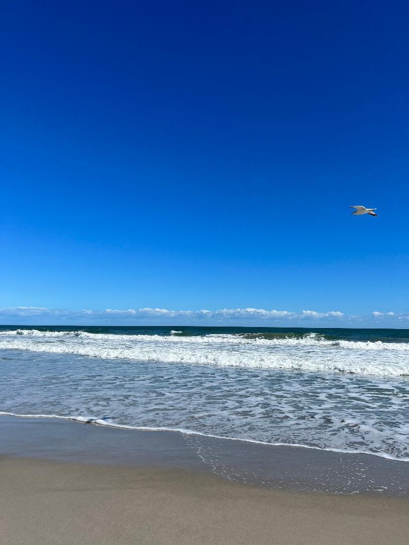 2700 N Highway A1a, Apt 8-202, Indialantic Unit: Apt 8-202