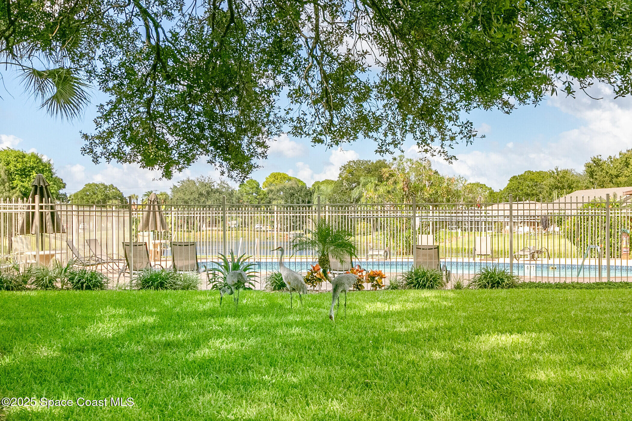 3005 Clearlake Drive 4