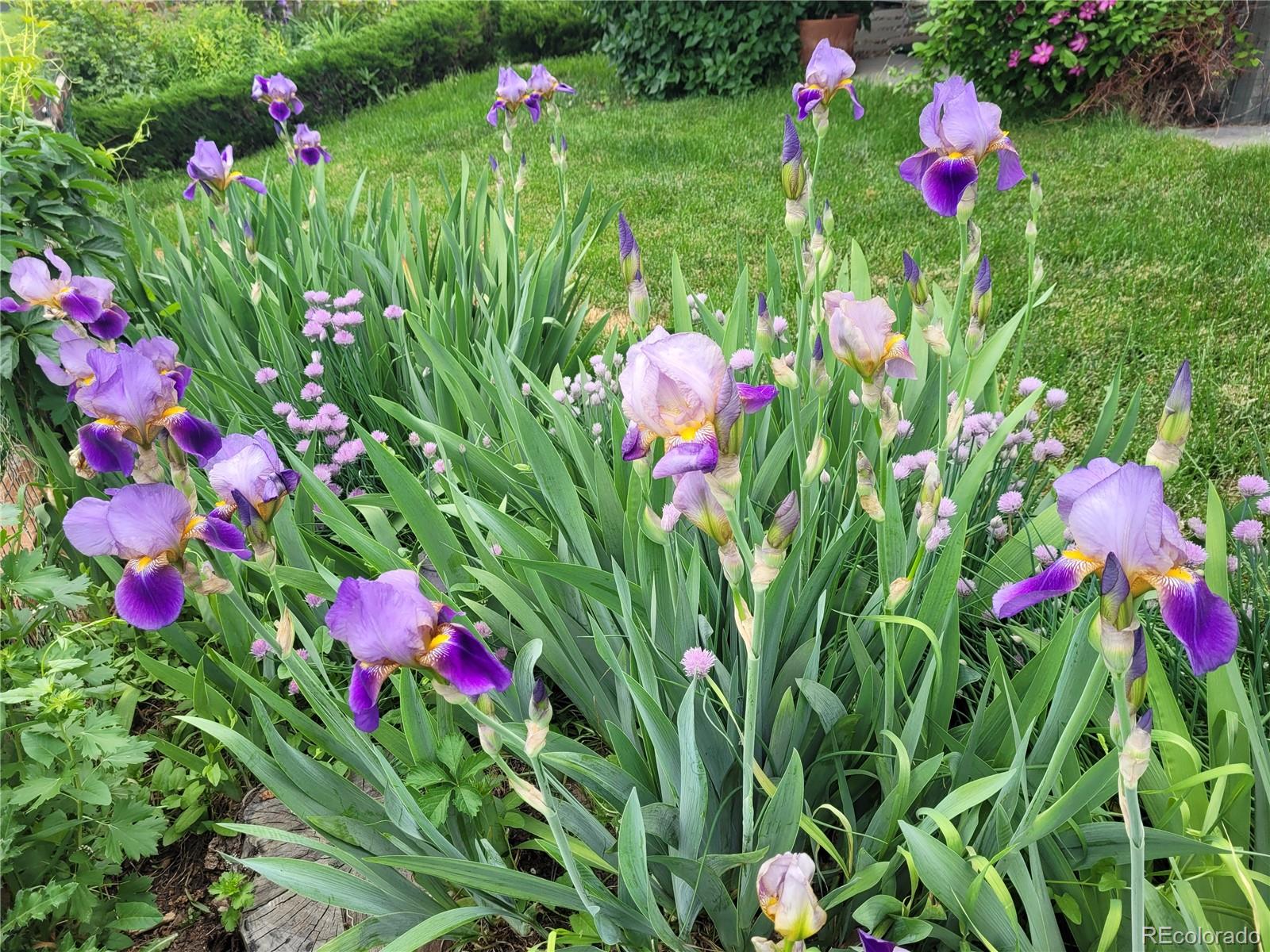 18816 E Saratoga Circle