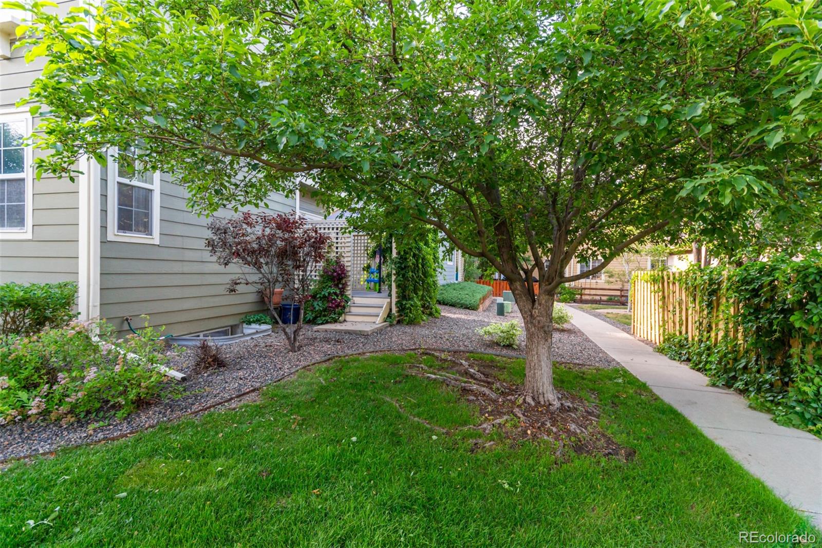 3733 Red Deer Trail